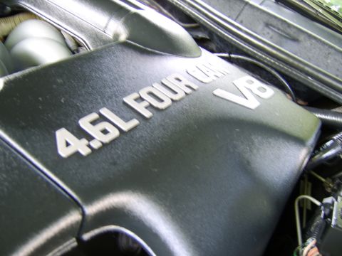 1996 Mercury Grand Marquis - Close-up of an engine cover displaying '4.6L FOUR CAM V8' badging.