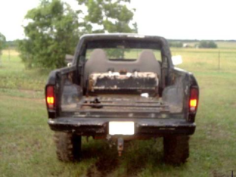 1978 Ford Bronco - Black pickup truck viewed from the rear, showing an empty bed and a white license plate.