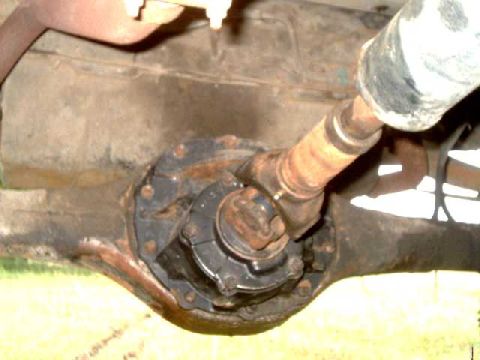 1978 Ford Bronco - Close-up view of a vehicle's rear differential and driveshaft assembly.