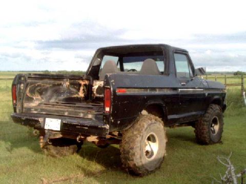 1978 Ford Bronco - This 1978 Ford Bronco is shown in a grassy field with a cloudy sky overhead.
