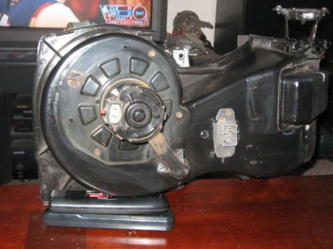 1991 Ford Bronco - This is a close-up view of a vehicle's HVAC blower motor assembly, showing the fan and its housing.