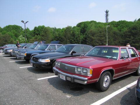 1991 Ford LTD Crown Victoria - Several Ford Crown Victorias are lined up in a parking lot on a sunny day.