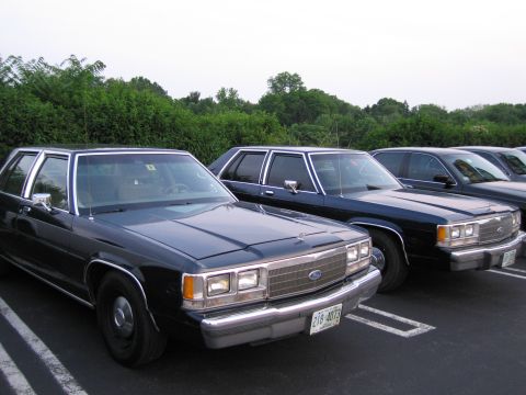 1991 Ford LTD Crown Victoria - Multiple dark blue sedans are parked in a lot, showing their front ends.