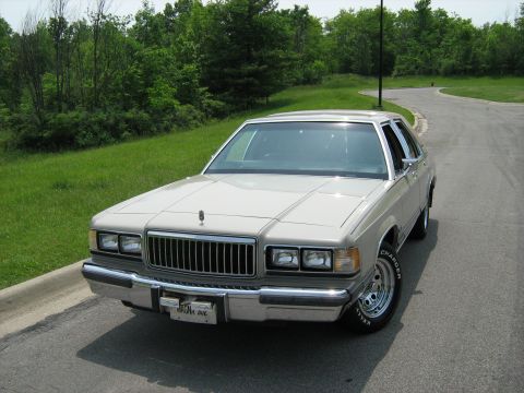 1988 Mercury Grand Marquis - High Res pic 5-31-07