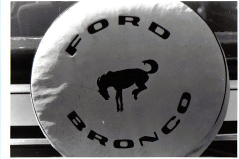 1986 Ford Bronco - A close-up view of a spare tire cover the Ford Bronco name and emblem.