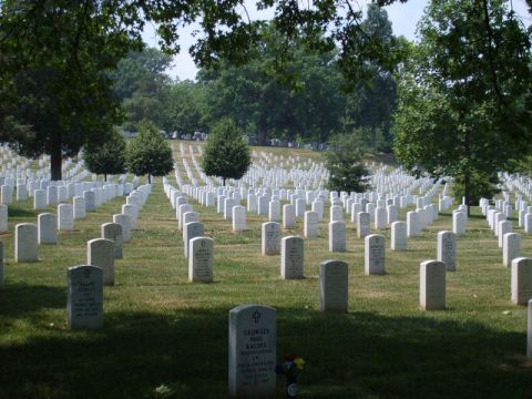 2004 Ford Crown Victoria - A vast expanse of white headstones stretches across the rolling hills of Arlington National Cemetery under a canopy of trees.