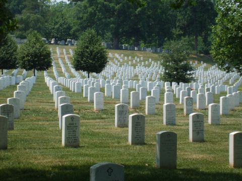 2004 Ford Crown Victoria - A vast military cemetery with countless headstones arranged in neat rows under a clear sky.