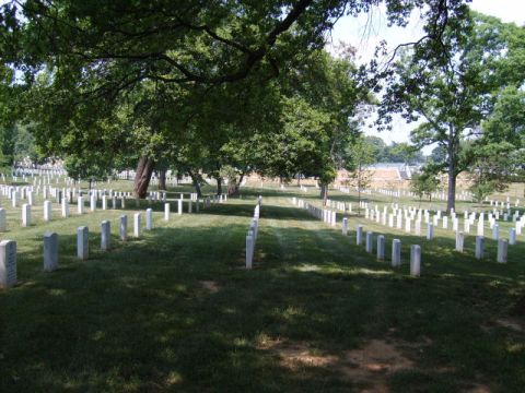 2004 Ford Crown Victoria - A view of numerous gravesites at Arlington National Cemetery on a sunny day.