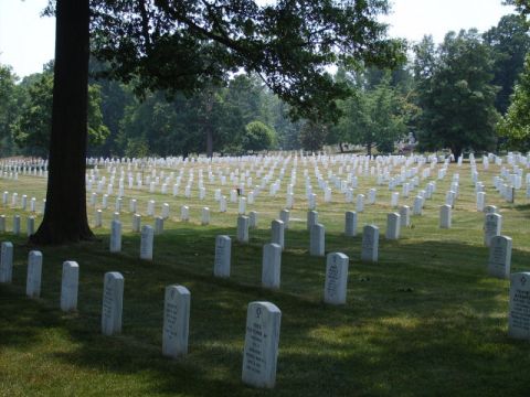 2004 Ford Crown Victoria - A vast expanse of white headstones stretches across the landscape of Arlington National Cemetery, shaded by a large tree.