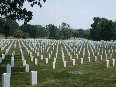 2004 Ford Crown Victoria - A vast cemetery with countless white headstones stretching into the distance under a clear sky.