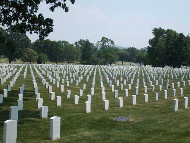Rows of white headstones in a grassy field with trees in the background