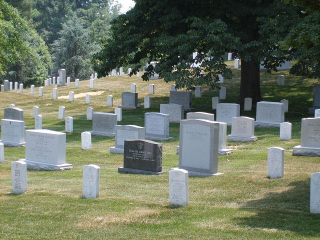 Tombstones in a cemetery under a large tree