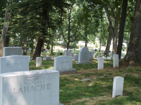 2004 Ford Crown Victoria - A scene within Arlington National Cemetery, rows of gravestones under a canopy of trees.