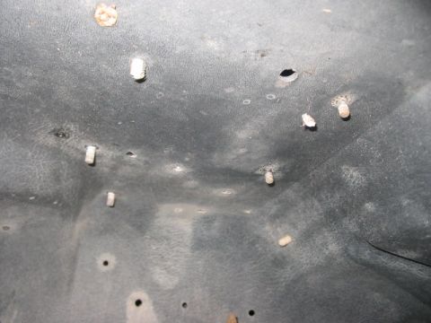 1991 Ford Bronco - Close-up of underhood insulation showing plastic clips and debris.