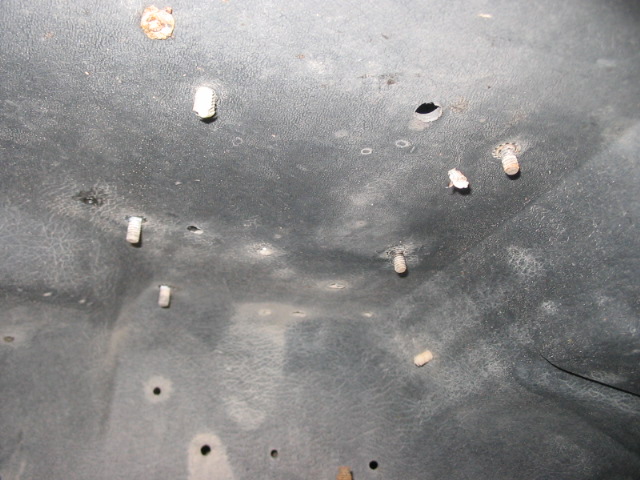 Underhood insulation with several white plastic clips and some debris