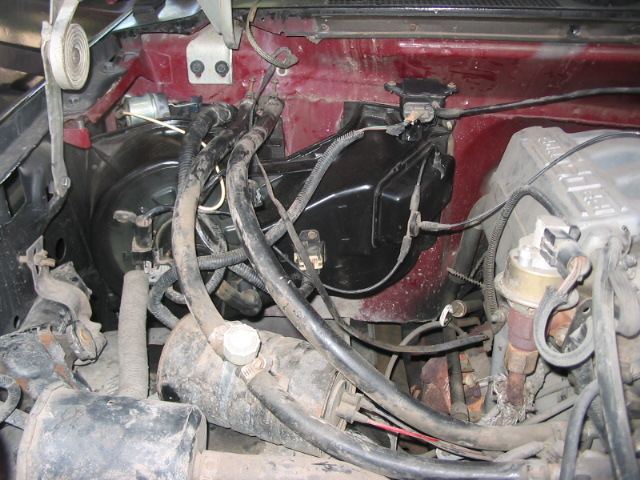 Underhood view of engine components with red firewall