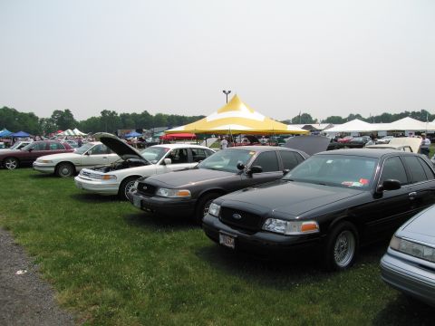 1991 Ford LTD Crown Victoria - A line of Ford Crown Victorias, including a black 1991 LTD model, are parked on a grassy field under tents.