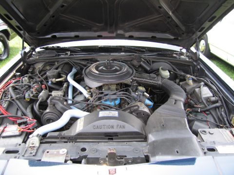 1991 Ford LTD Crown Victoria - The engine compartment of a car is shown with the hood open, revealing the engine and its components.