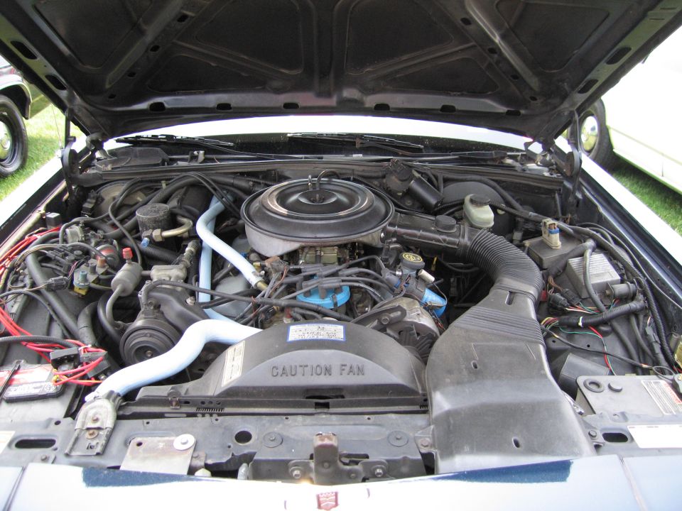Engine bay of a car with the hood up. Shows the V8 engine, air filter housing, and radiator fan