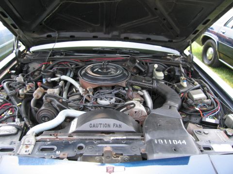 1991 Ford LTD Crown Victoria - The engine bay of a 1991 Ford Crown Victoria LTD is shown with the hood open, revealing the engine and other components.