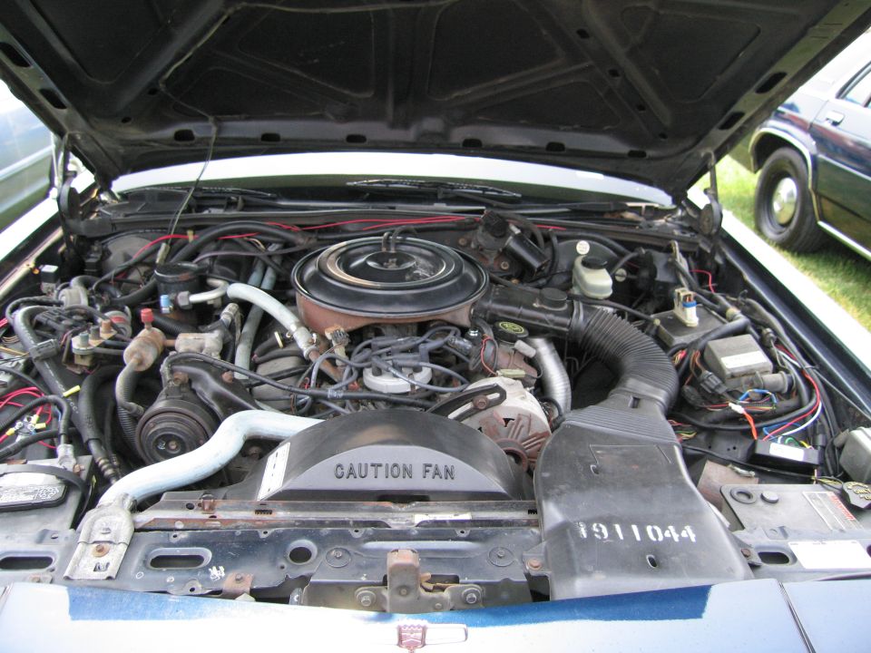1991 Ford Crown Victoria LTD engine bay, blue exterior, open hood, visible fan shroud with text