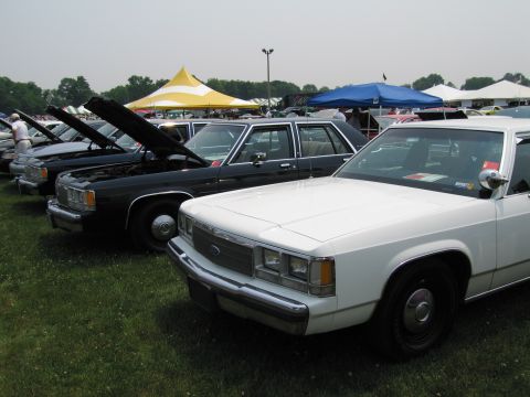 1991 Ford LTD Crown Victoria - Several Ford Crown Victorias are lined up on a grassy field with tents in the background.