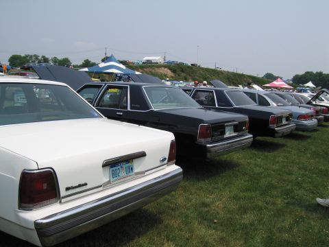 1991 Ford LTD Crown Victoria - Several Ford Crown Victorias are lined up on a grassy field under a cloudy sky.