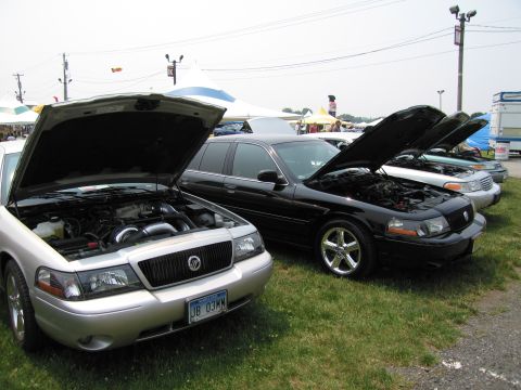 1991 Ford LTD Crown Victoria - Several Ford Crown Victorias are lined up with their hoods open at an outdoor car show.