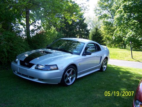 1996 Ford Probe - A silver Ford Mustang is parked on a grassy lawn with trees in the background.