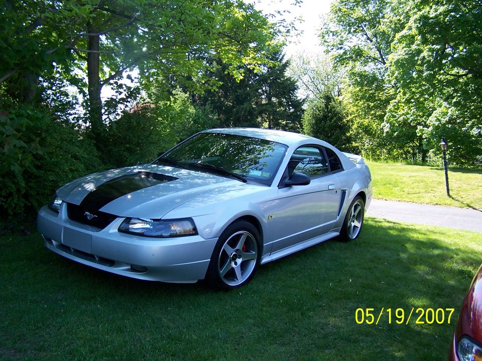 Silver Ford Mustang coupe with black racing stripes on the hood, parked on grass