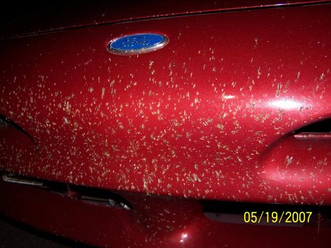 1996 Ford Probe - A red 1996 Ford Probe's front end is covered in debris, with a date stamp of 05/19/2007 visible.