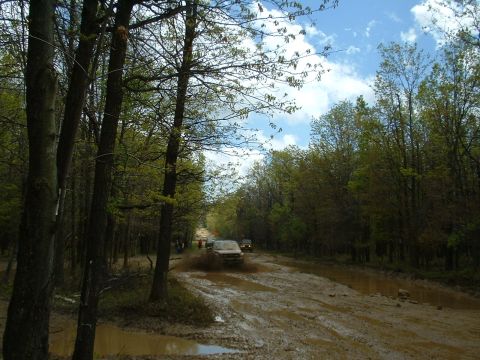 1991 Ford Bronco - Multiple SUVs navigate a challenging muddy path through a dense forest.