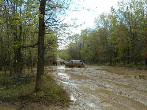1991 Ford Bronco - Off-road vehicles navigate a challenging muddy path surrounded by trees.