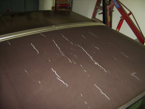 1982 Ford Crown Victoria LTD - This is why the conversion is taking place - a cracked vinyl top.