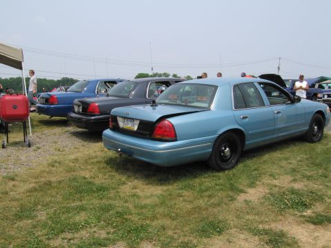 1991 Ford LTD Crown Victoria - Multiple Ford Crown Victorias are lined up on a grassy field under a bright sky.