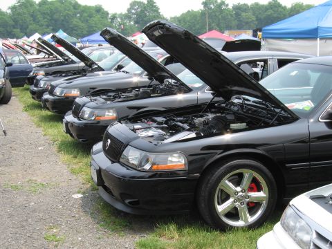 1991 Ford LTD Crown Victoria - Several black Ford Crown Victorias are lined up with their hoods open at an outdoor event.