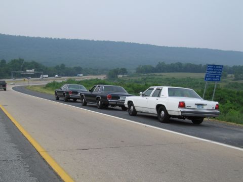 1991 Ford LTD Crown Victoria - Three sedans, including a white 1991 Ford Crown Victoria LTD, are lined up on the highway with a scenic, hilly background.