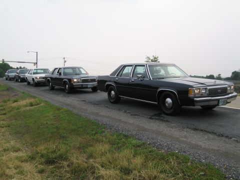 1991 Ford LTD Crown Victoria - A line of Ford Crown Victoria sedans drives down a road.