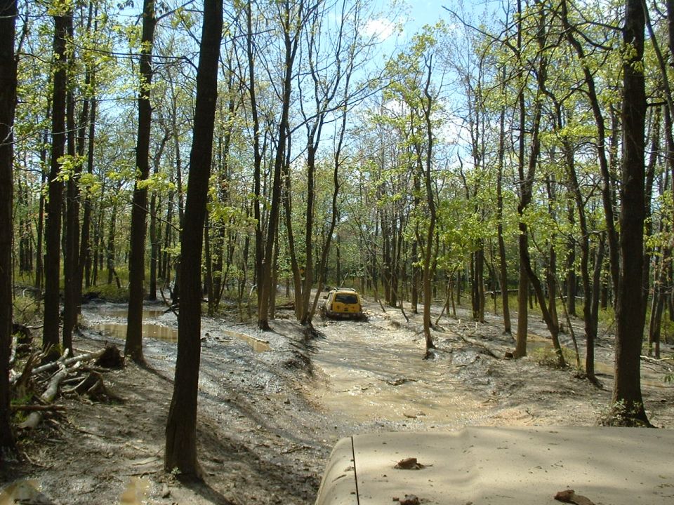 Two yellow SUVs are driving on a muddy trail through a forest