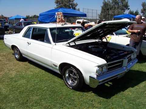 2002 Ford Mustang - A white 1965 coupe is displayed with its hood open, and a stuffed tiger sits on its roof.