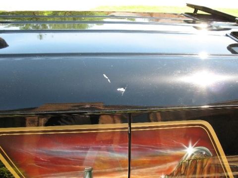 1978 Ford E250 - Custom mural art on a black van door shows a desert scene with a dome.