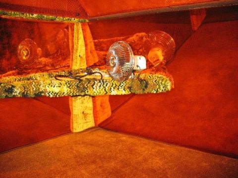1978 Ford E250 - The interior of a van features orange upholstery and two fans on a shelf.