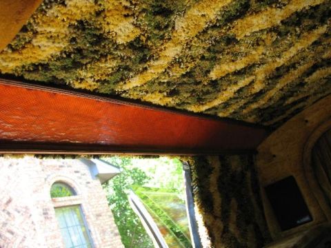 1978 Ford E250 - The interior of this van features a unique camouflage-patterned fuzzy upholstery on the ceiling and side panels.