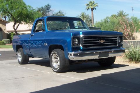 1976 Chevrolet C/K Pickup photo