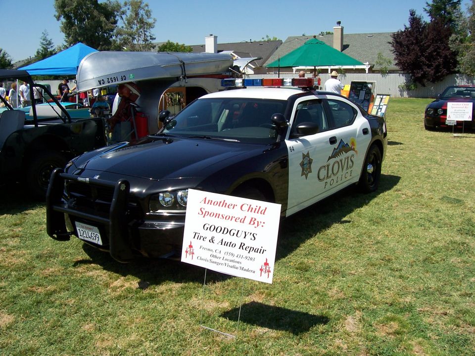 Black and white police car with a push bumper and light bar, parked on grass