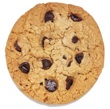 1991 Ford Bronco - A close-up view of a single chocolate chip cookie.