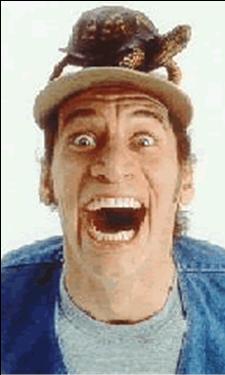 1990 Ford Bronco - A man's surprised face is topped by a turtle balanced on his hat.