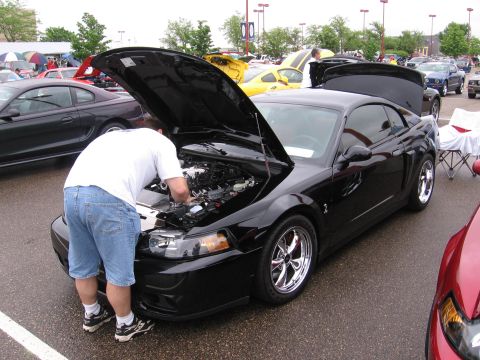 1989 Ford Mustang - Dan D.