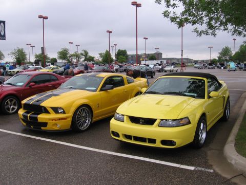 1989 Ford Mustang - Two yellow Ford Mustangs, a convertible and a coupe, are parked in a lot during a car show.
