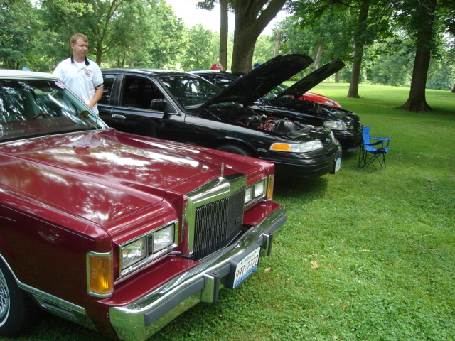 Three black 1992 Ford Crown Victorias parked on grass, hoods open